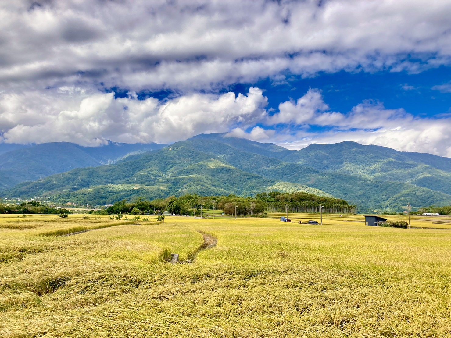 富里好漂亮喔，簡直世外桃源 cover