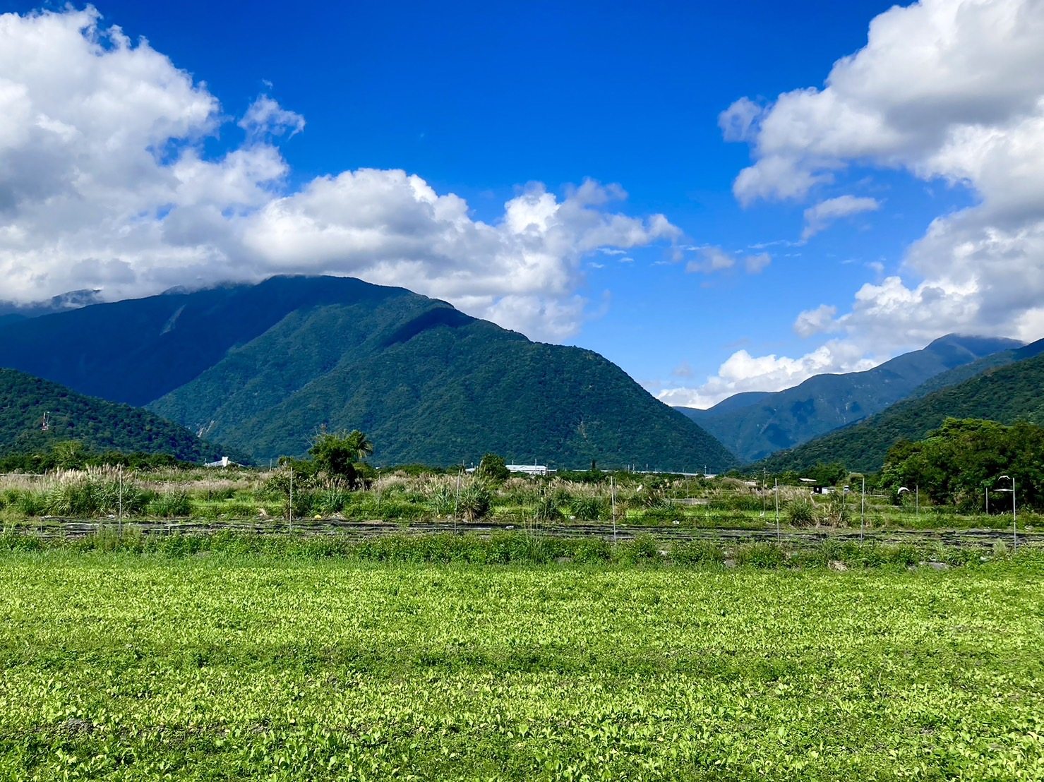 來寫寫南澳 cover