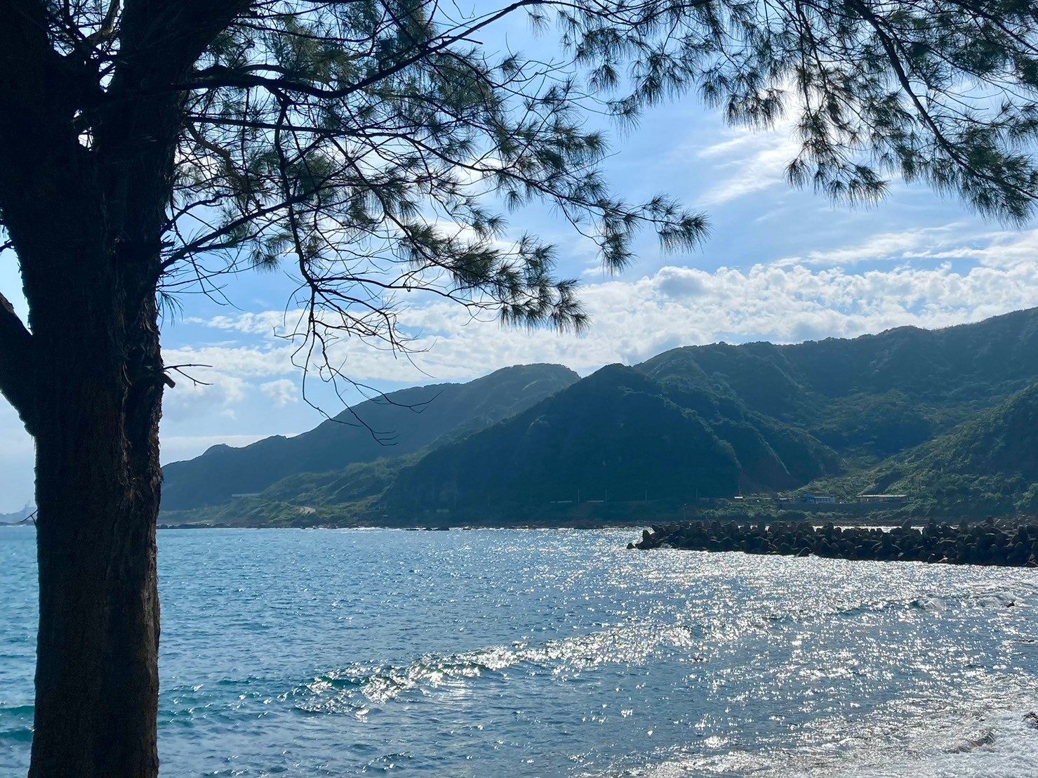 北海岸三部曲－慶幸有走過 cover