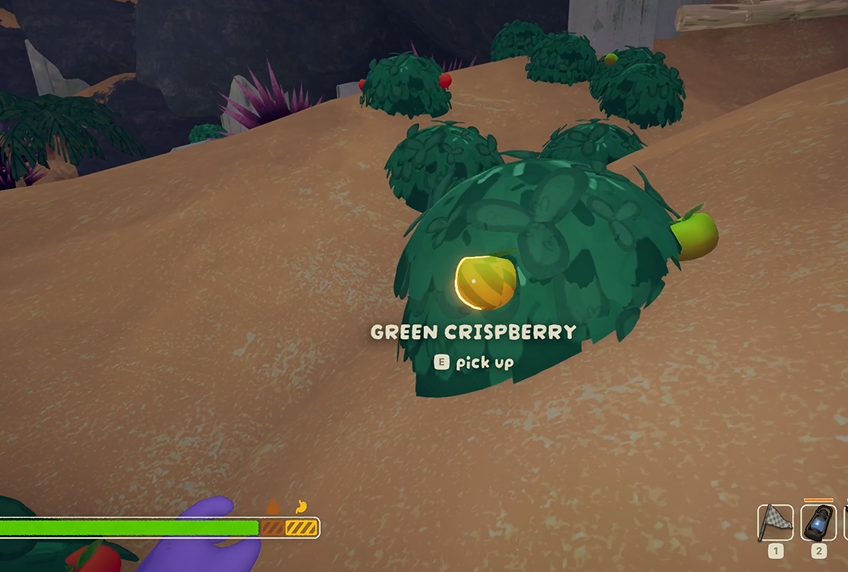 有毒的绿莓果 (不要吃!)