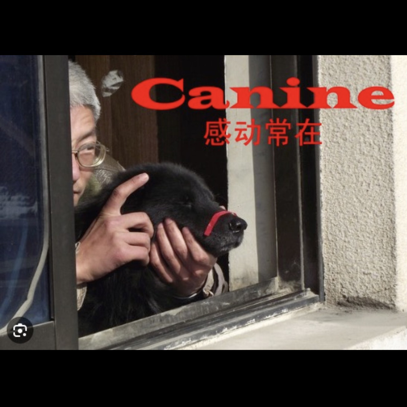 跑题的年度硬件(下)