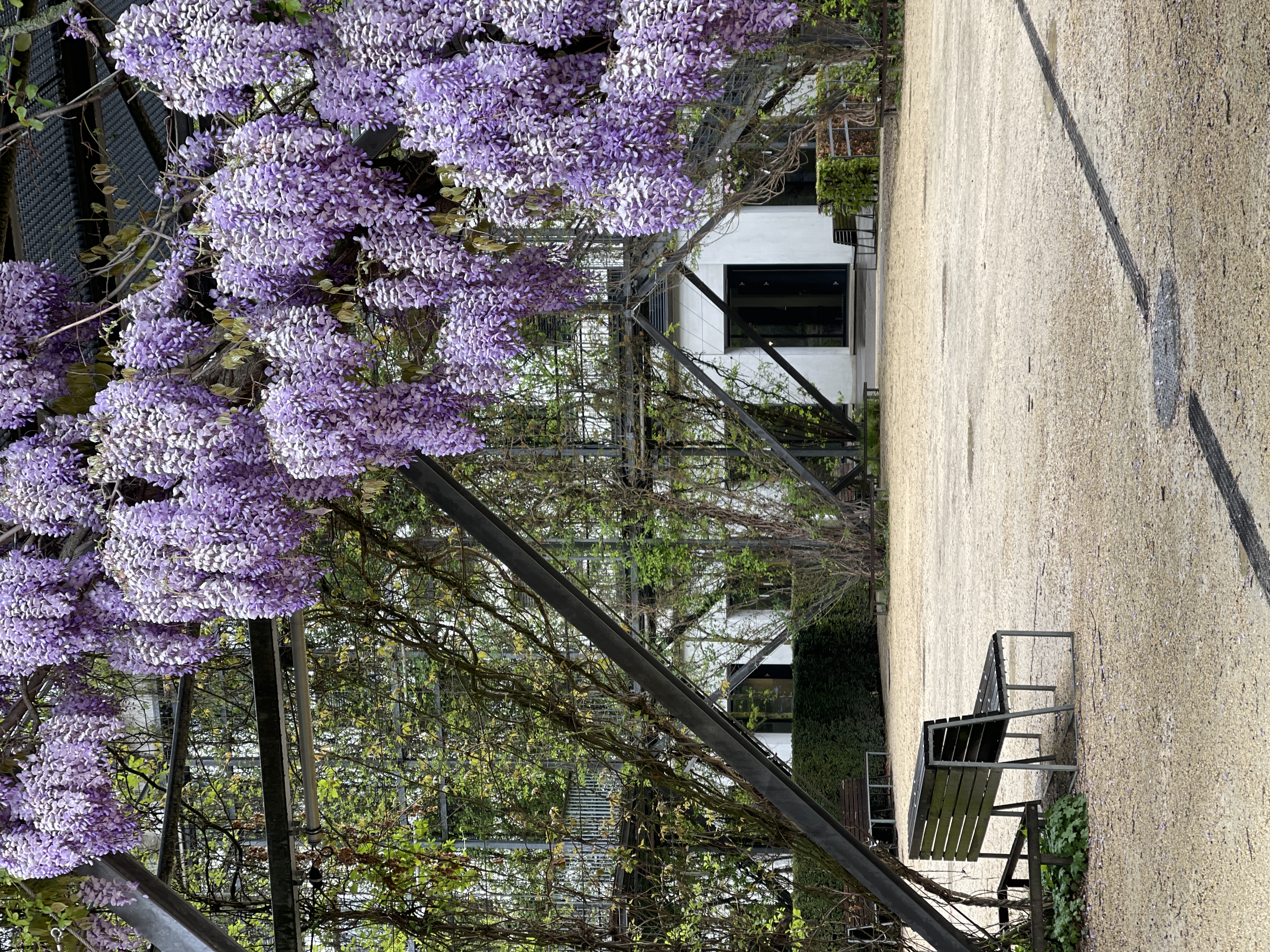 2024-04-18 180607.jpg