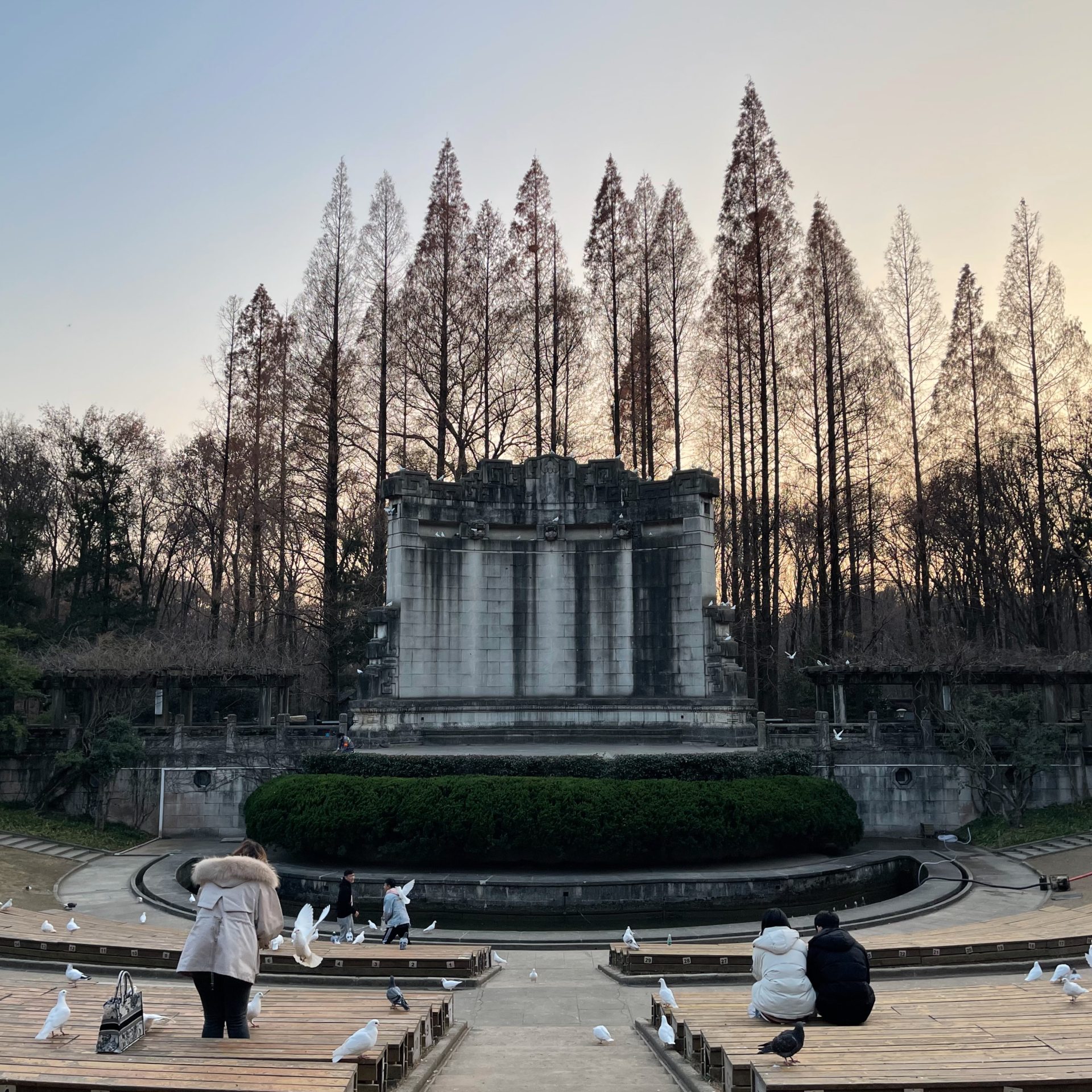 202. 杨廷宝：从美术馆到城市空间 episode artwork