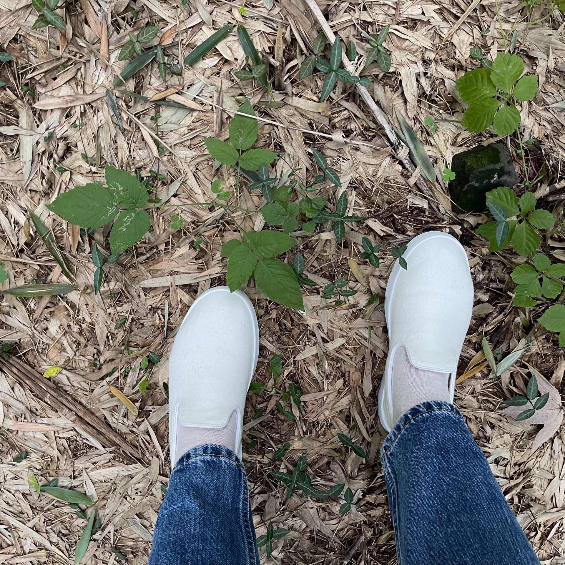 #183. 穿着 Allbirds 看 V&A：源于自然的时尚 episode artwork