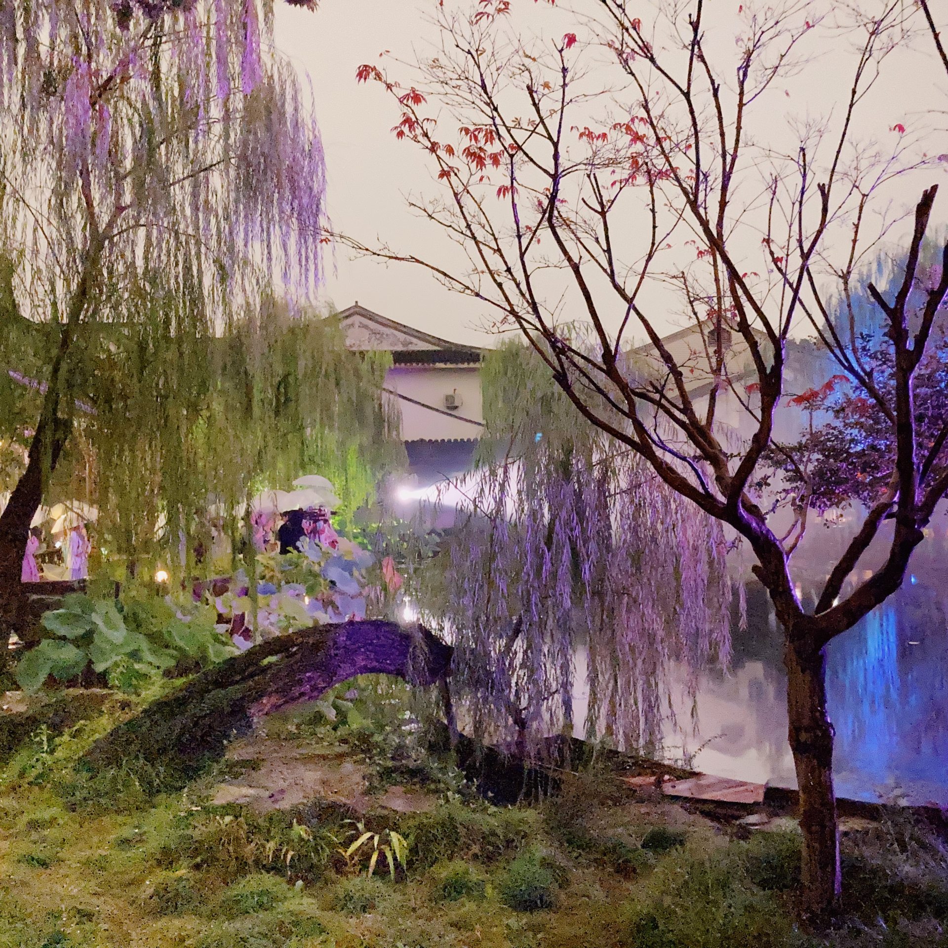 #178. 沧浪亭雨夜记趣