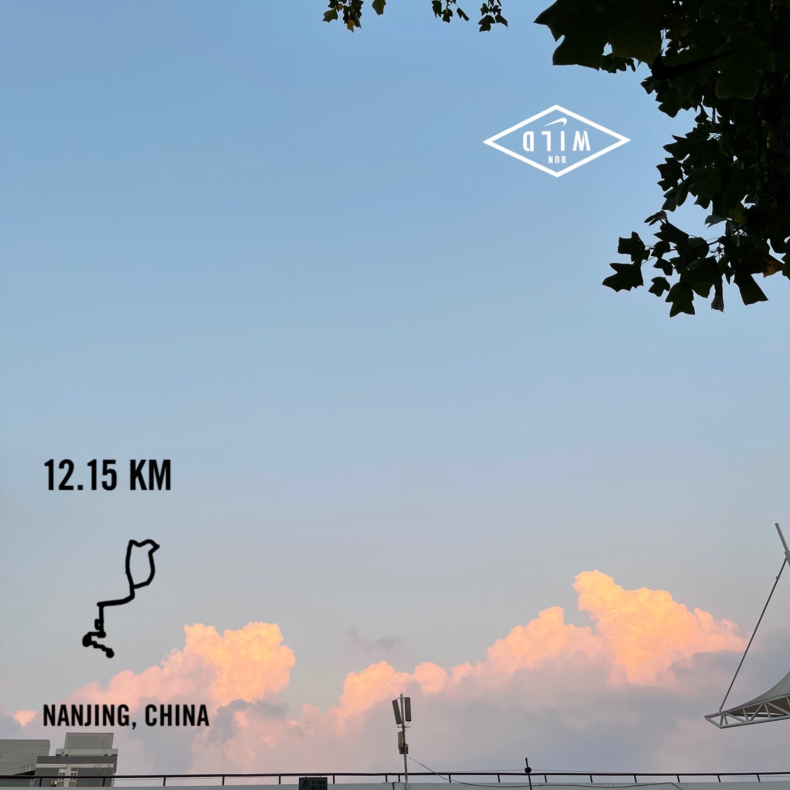 run1.jpg