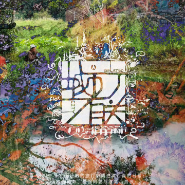 11.在无目的的旅行中闯进滇西南的日常：返乡咖啡师、餐馆阿婆与市集小男孩