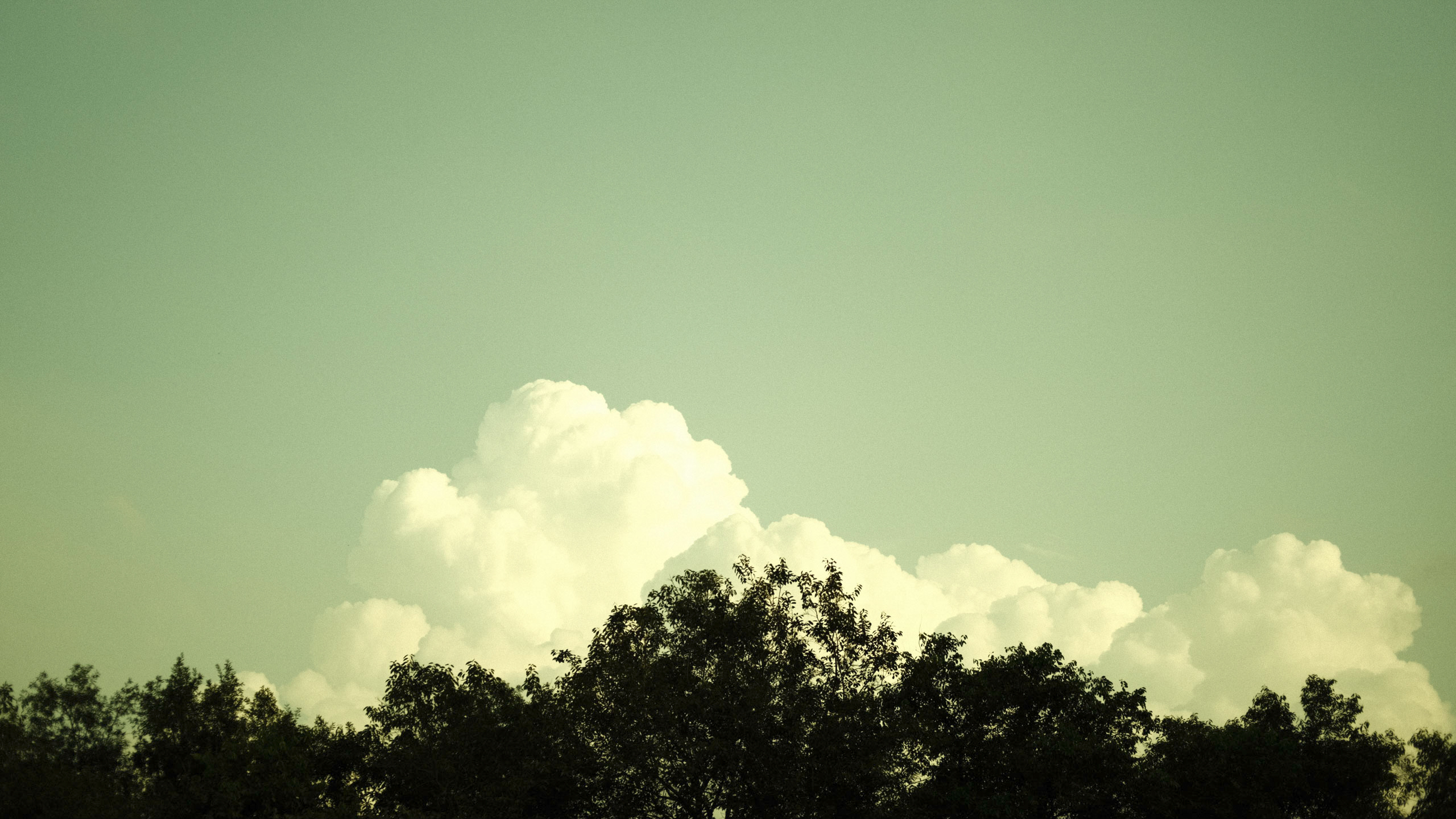 Museum of memories (2021)