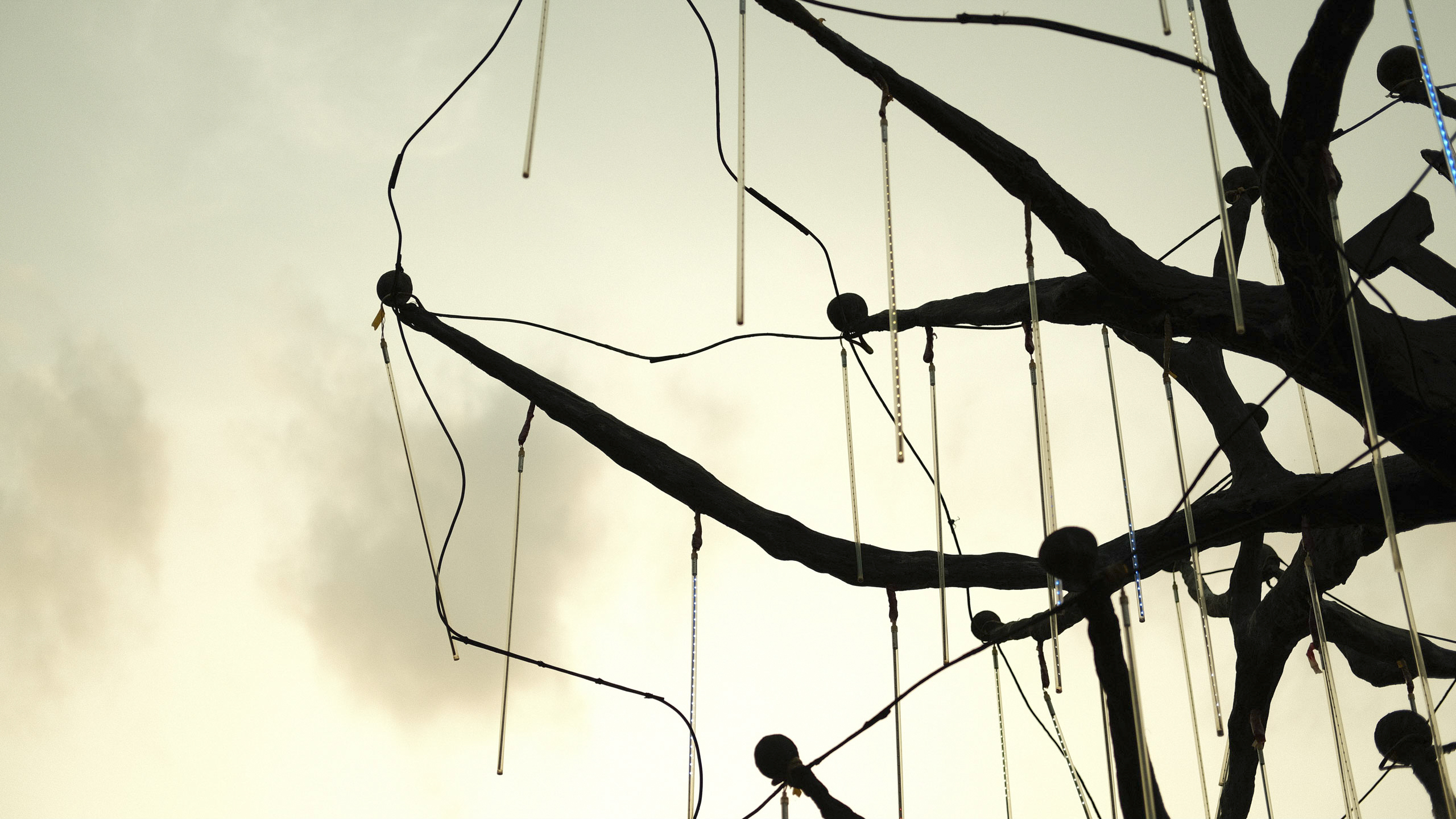 2021-07-31 183846.jpg