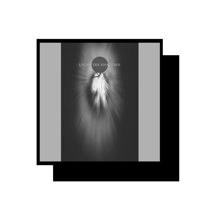 008. 只听一首歌