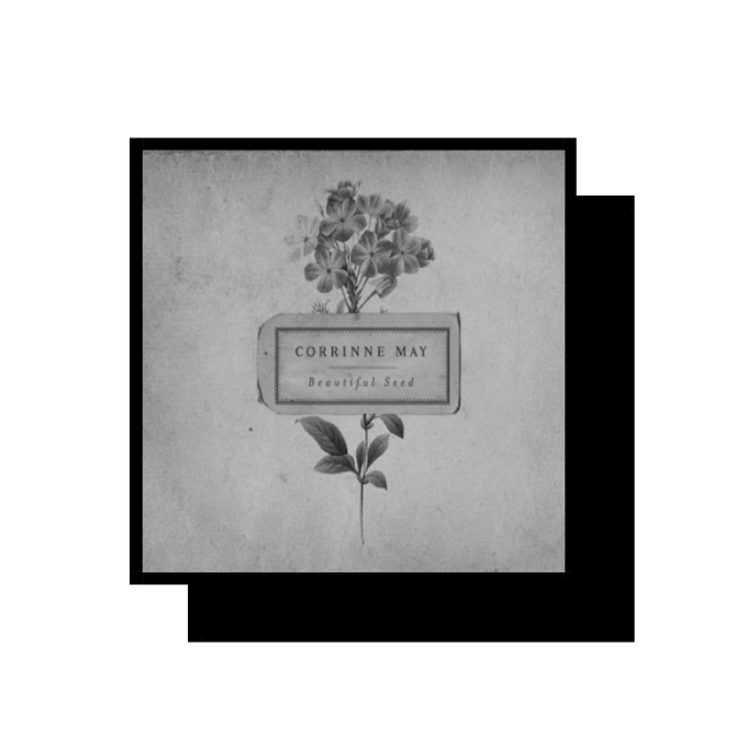 018. 国语 | 开心的歌