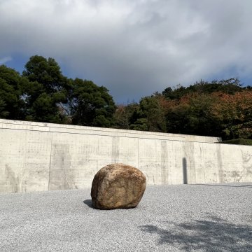对手