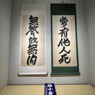 第8集，继续聊杉本博司和展览