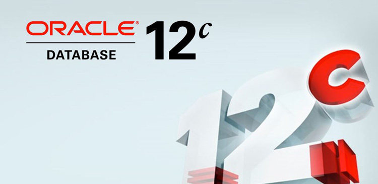 在CentOS 7上安装 Oracle 12C（踩坑向） cover