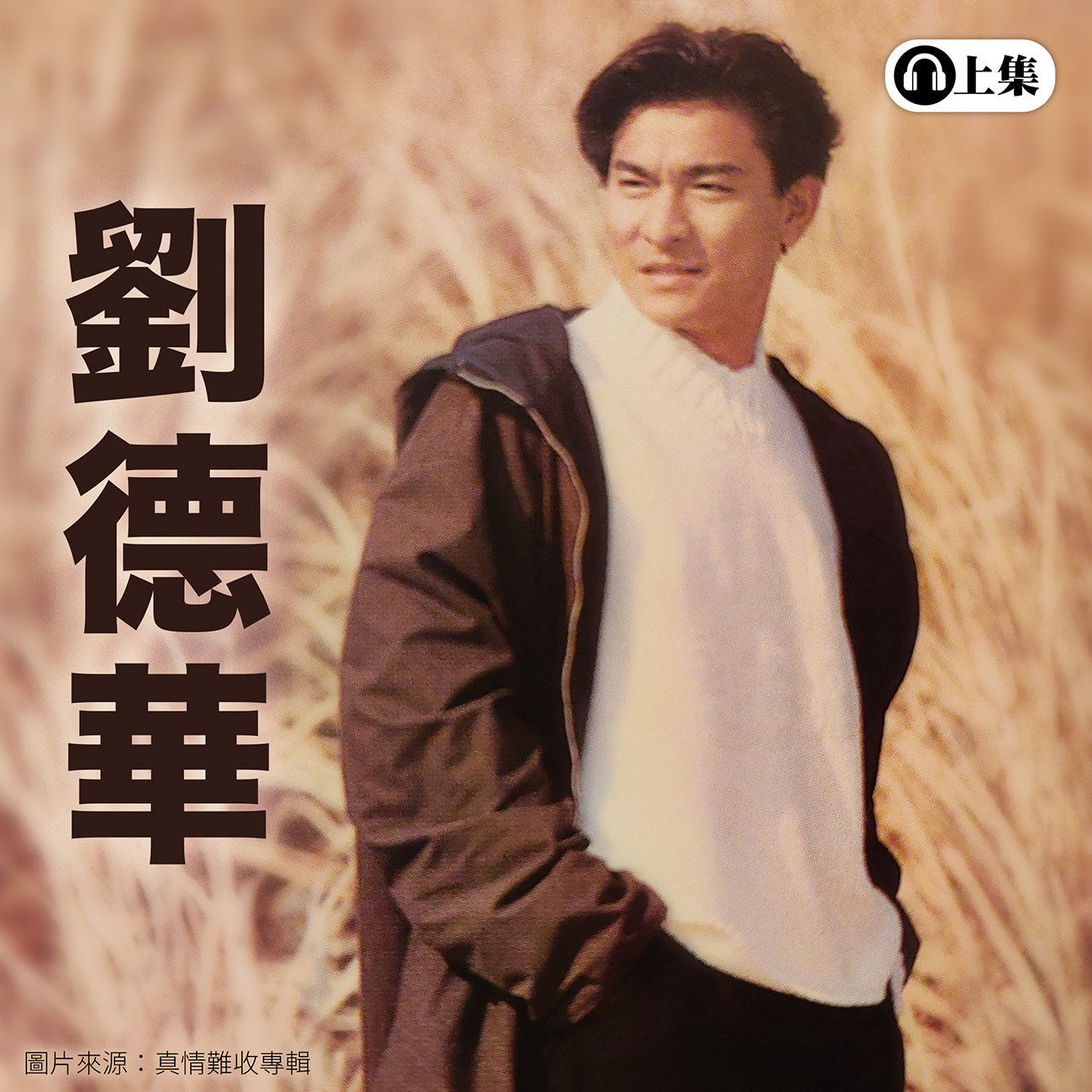 豐音樂 Feng Yin Yue -經典選播 劉德華(上)
