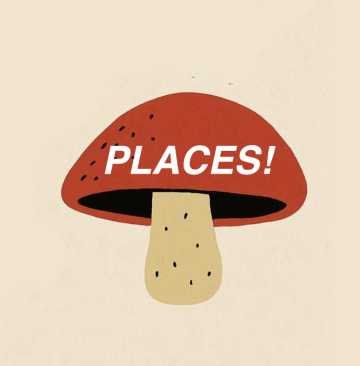 PLACES! logo