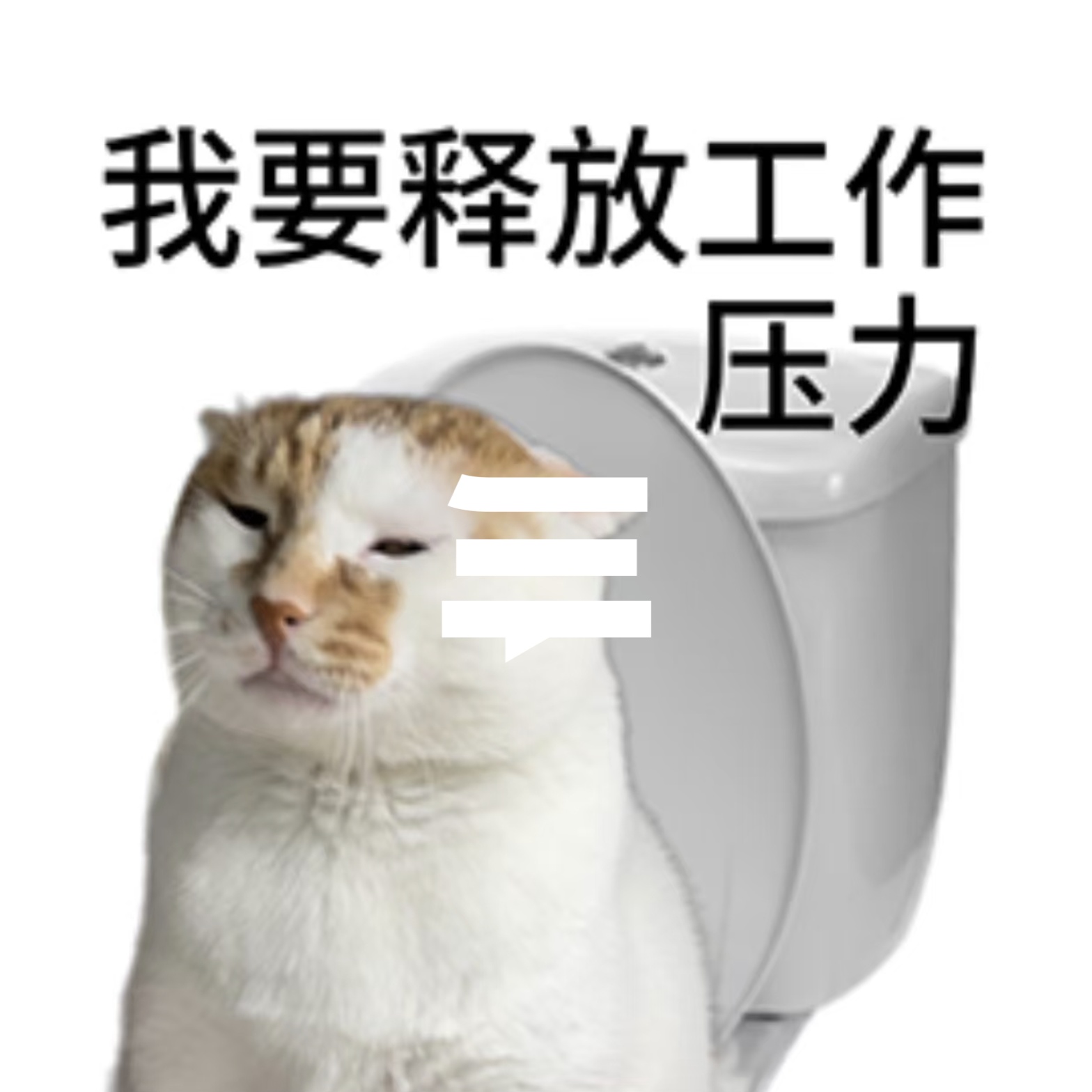 08-生活中最大的障碍是上厕所