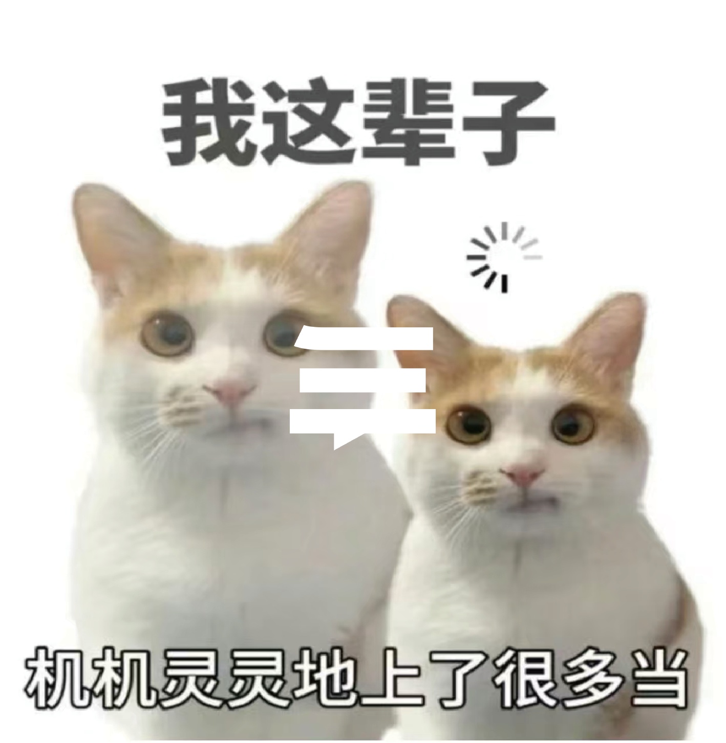 04-艺考这件事，我大呼上当