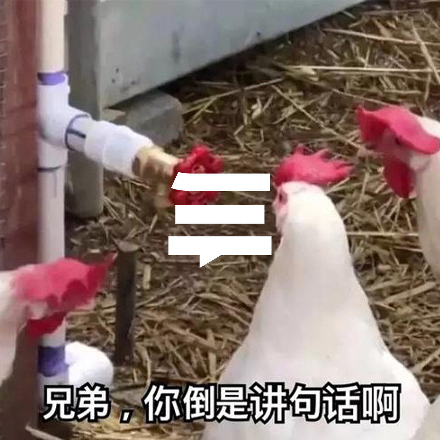 01-剧场是动物表演，电影是动物世界