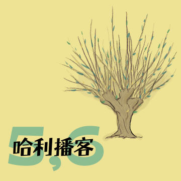 B2Ch5-6. 打人柳 + 吉德罗·洛哈特