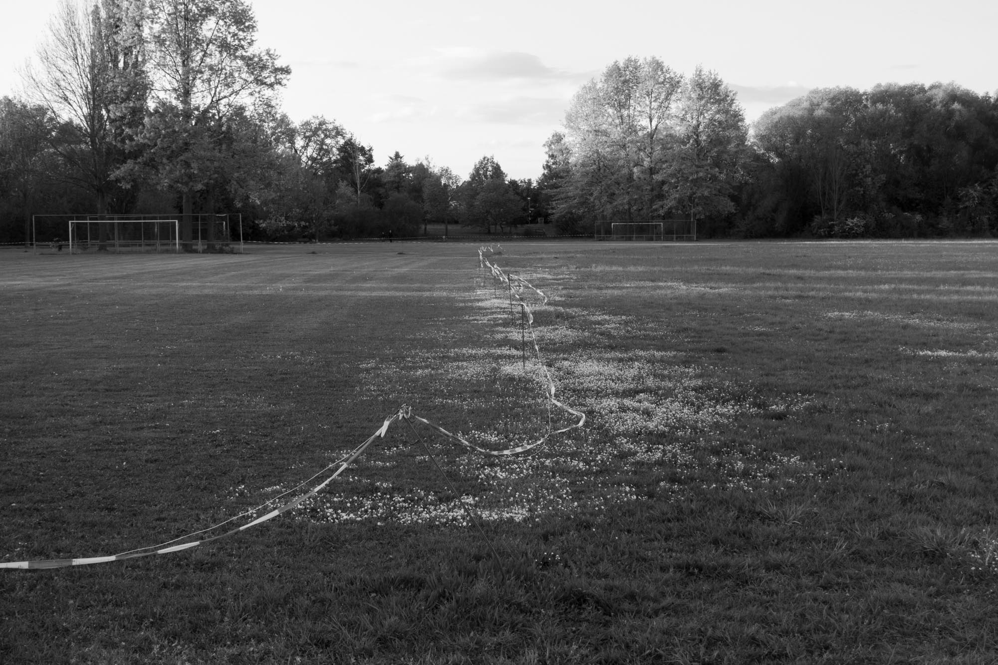 2020.4.29 Erlangen，夏天昼长夜短，行至一处草地。