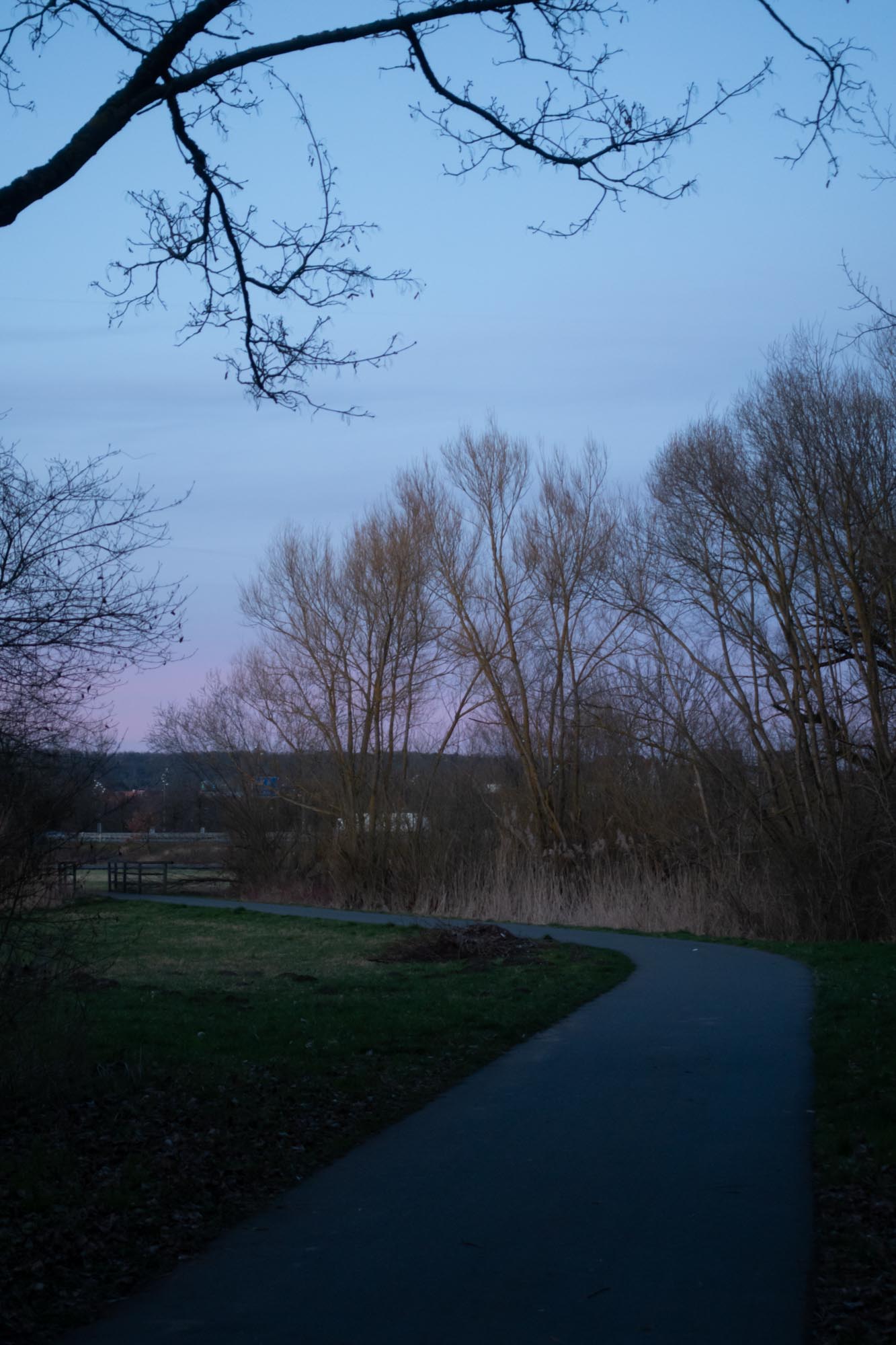 2020.3.15 僻静处散步。