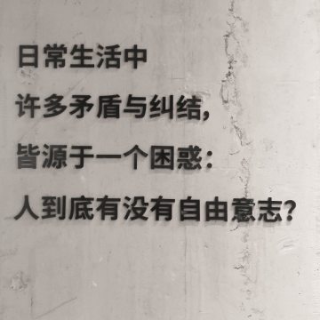 寒假011｜对话神兽之间，疫情期间开业如何在上海活下来？