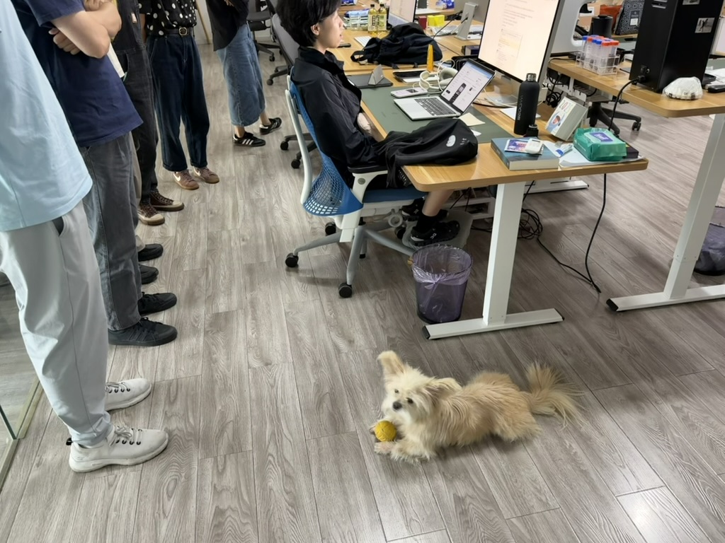 C29C43EC-4A8E-4EA3-A5D2-6272C0C434ED_1_105_c.jpeg