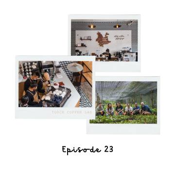 Vol. 23  为什么是咖啡？为什么是云南？为什么是云南咖啡？