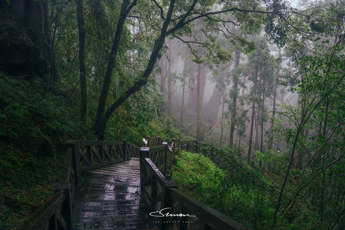 漫步台湾（下）：古意在南，云雾在山 cover