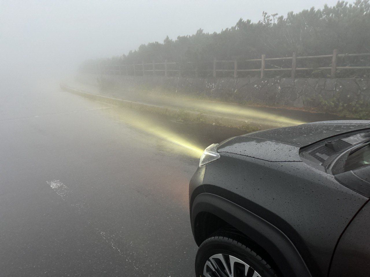 2023-10-31 20.54.45.jpg