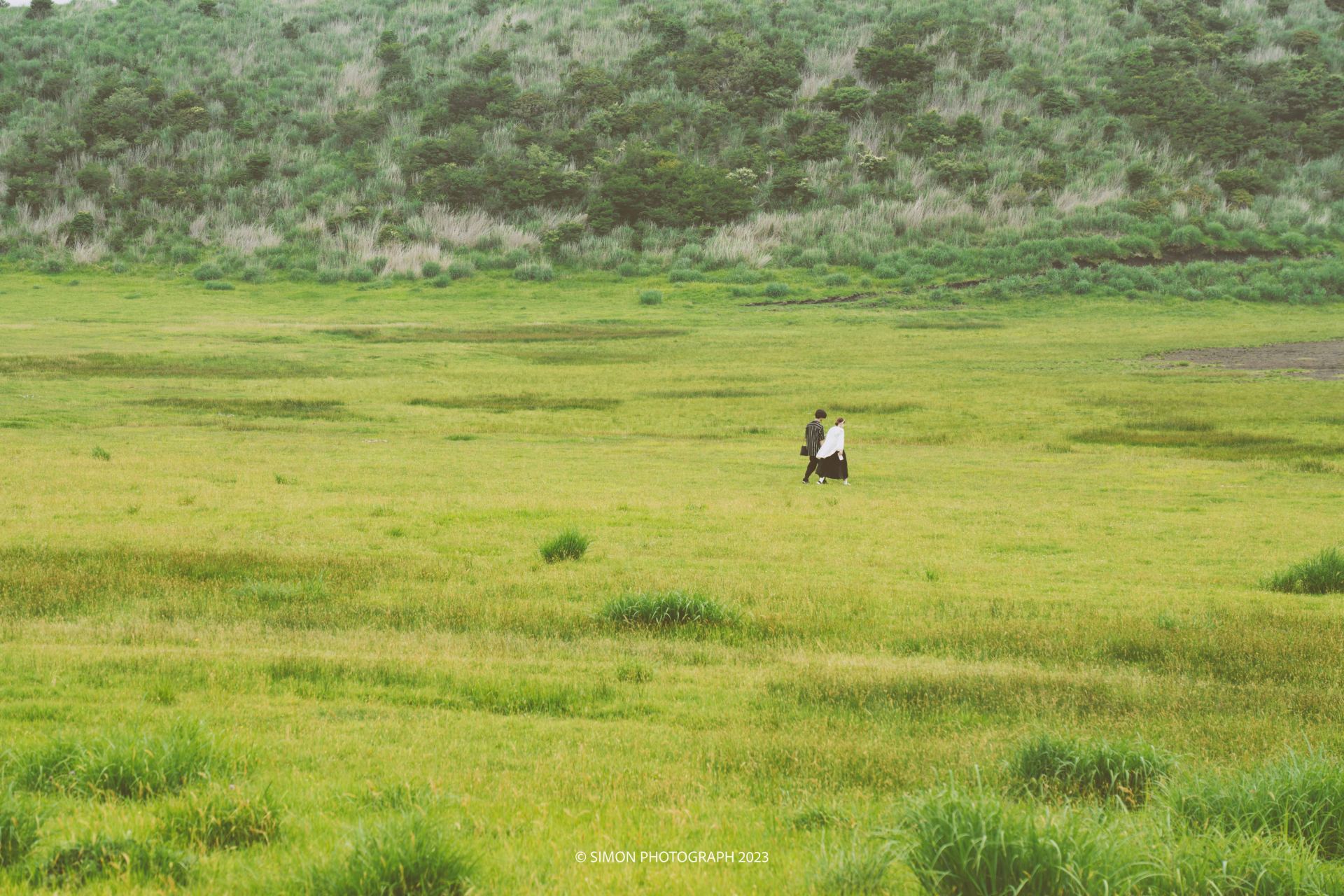 日本浮生录：漫步北九州，感受自然和人文之美