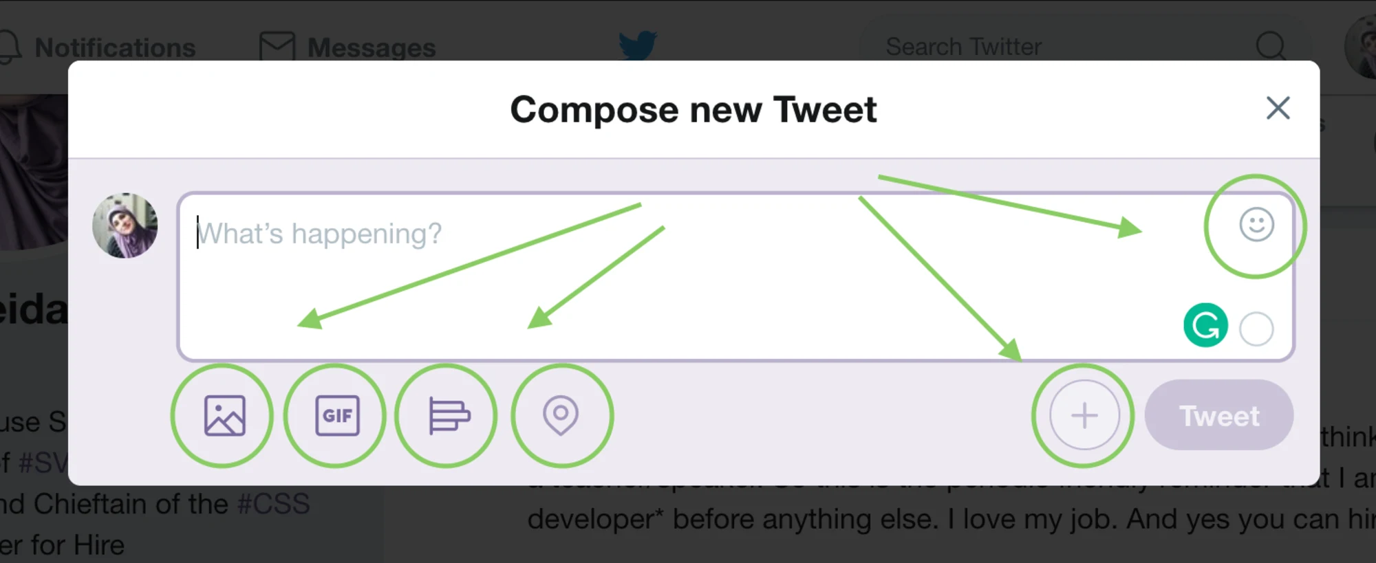 Twitter UI panel