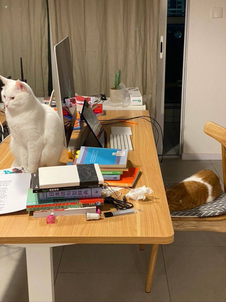 AA8E4E10-12AF-47FE-BF77-0352749A687F_1_105_c