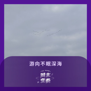 Mixtape丨游向不眠深海