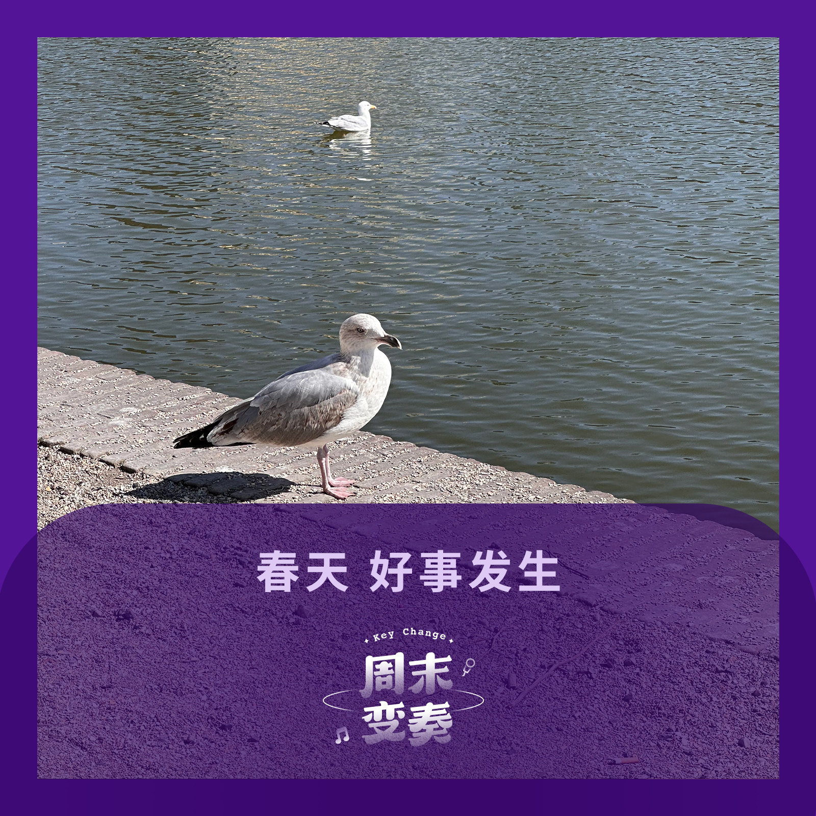 cover of episode  春天来了，总感觉有些好事在隐隐跳动 