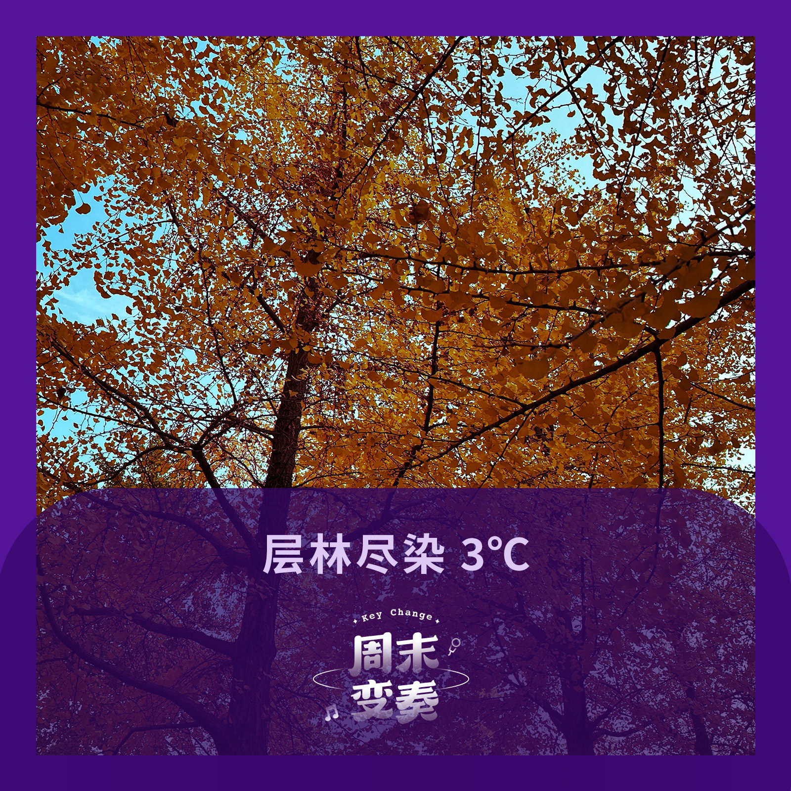 cover of episode  层林尽染 3℃ 