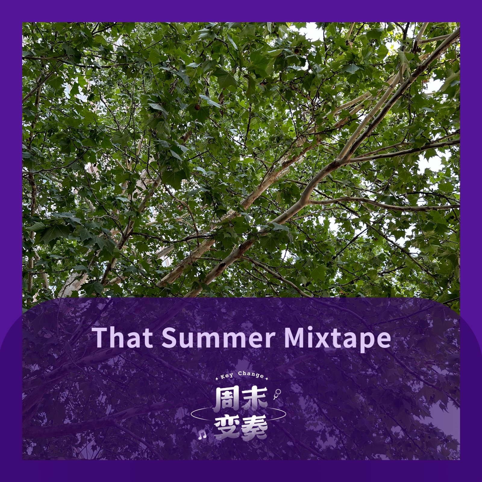 cover of episode  每年都有一份夏日消暑 Mixtape 