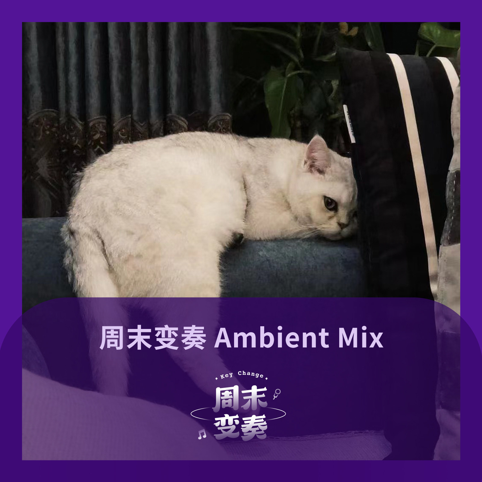 cover of episode  怀表漂浮在毫无戒备的灵魂头顶丨Ambient Mix 
