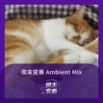 当我入睡，你正在陆地尽头看江河丨Ambient Mix