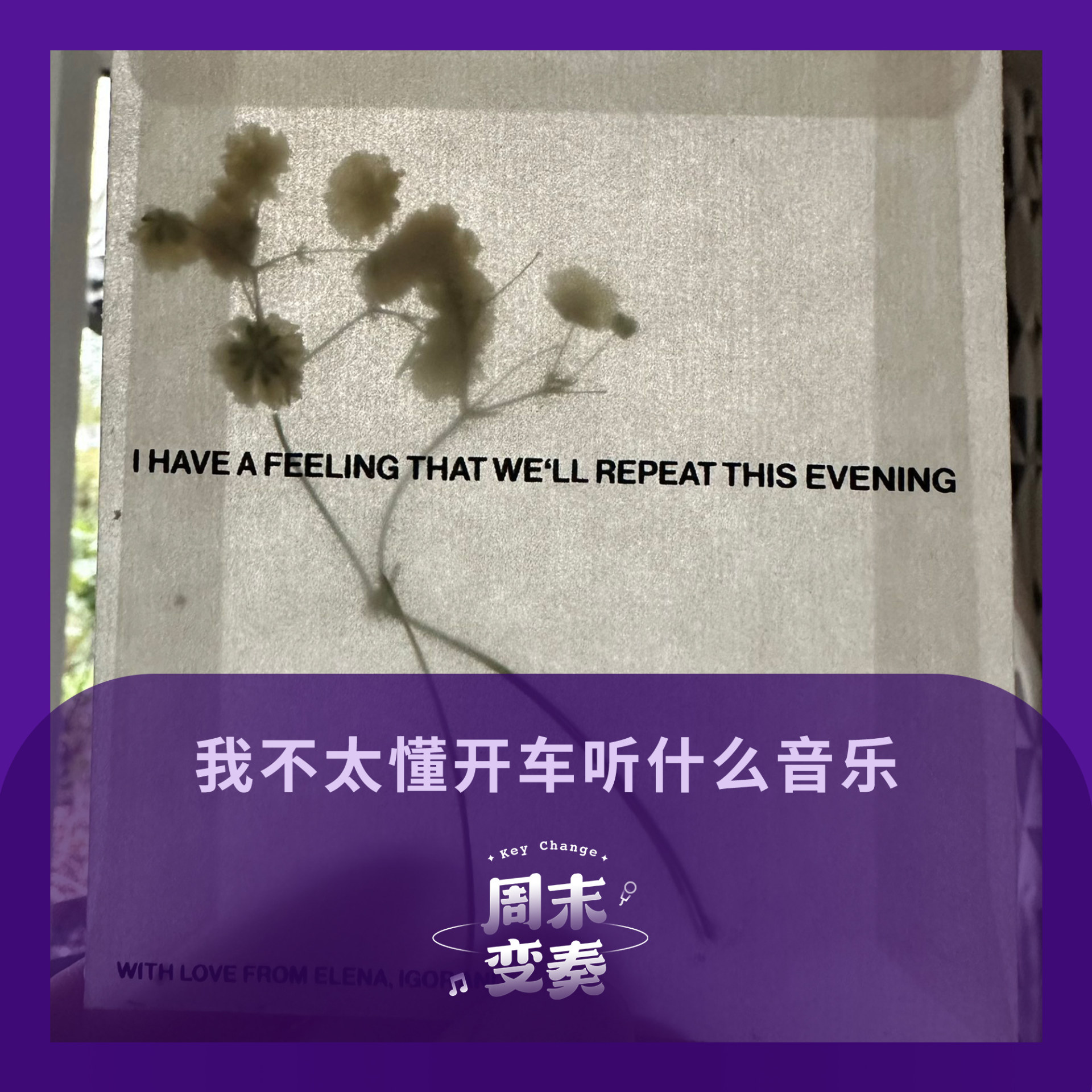 cover of episode  我不太懂开车听什么音乐 