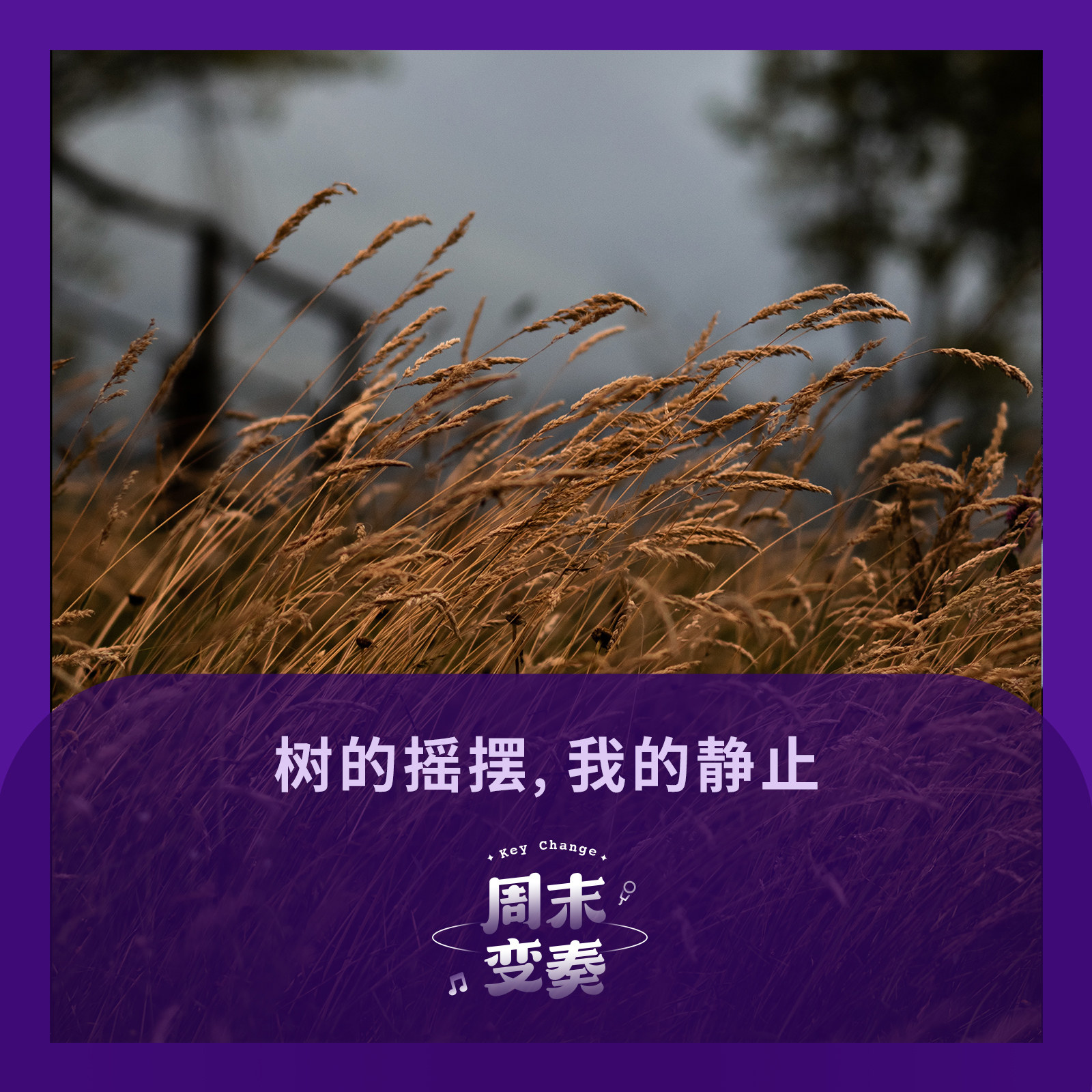 cover of episode  树的摇摆，我的静止 