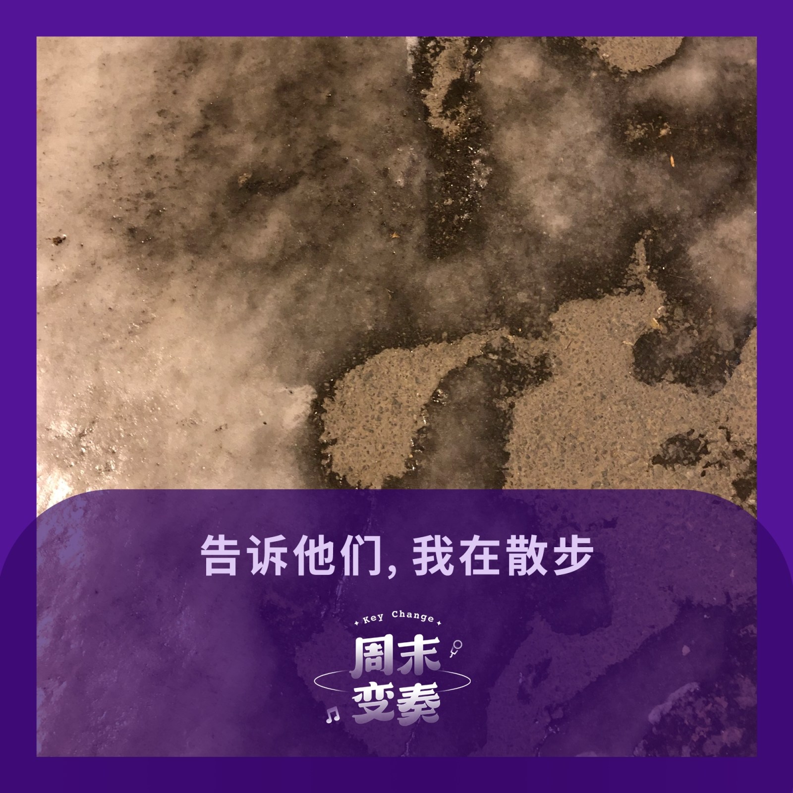 cover of episode  告诉他们，我在散步 