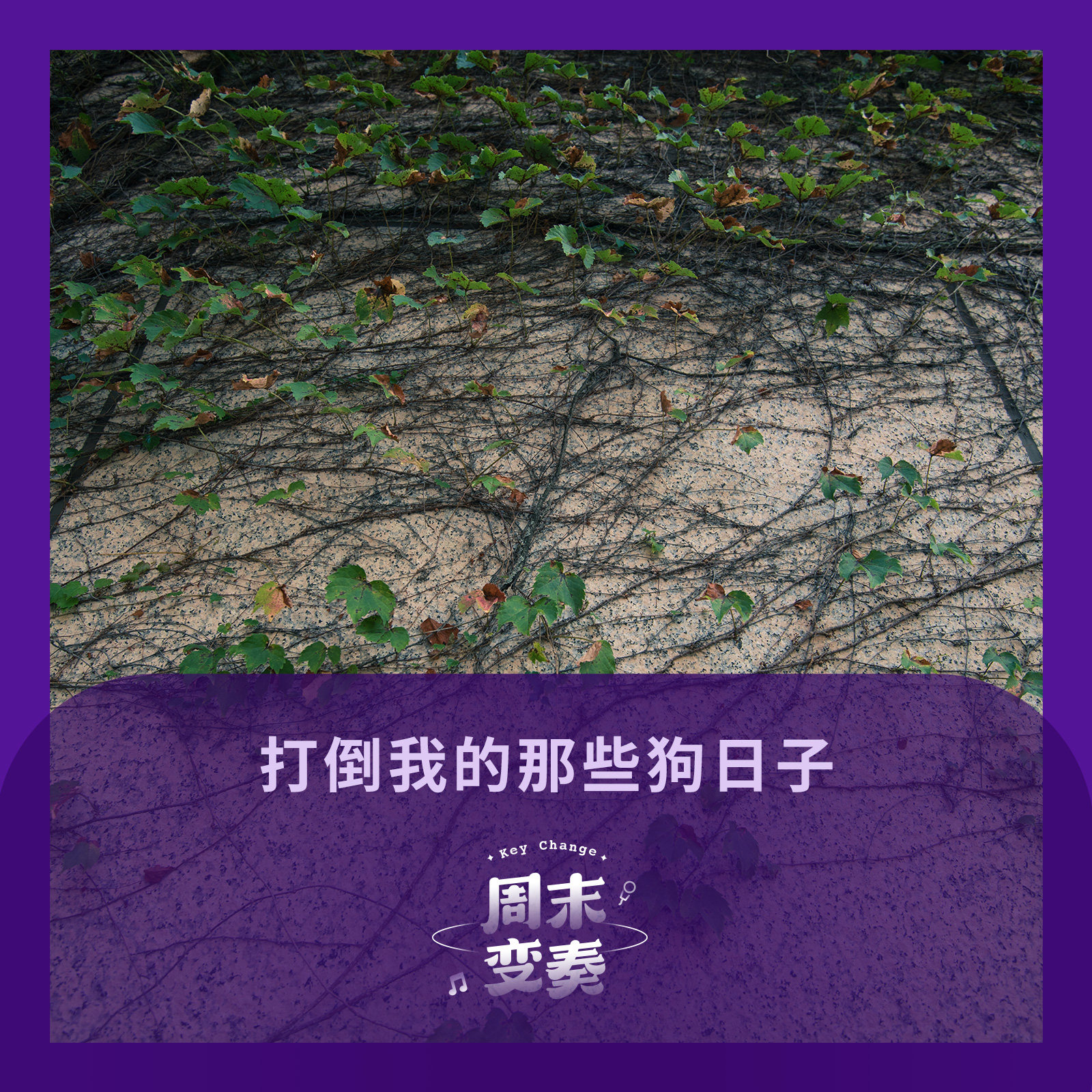 cover of episode  打倒我的那些狗日子 