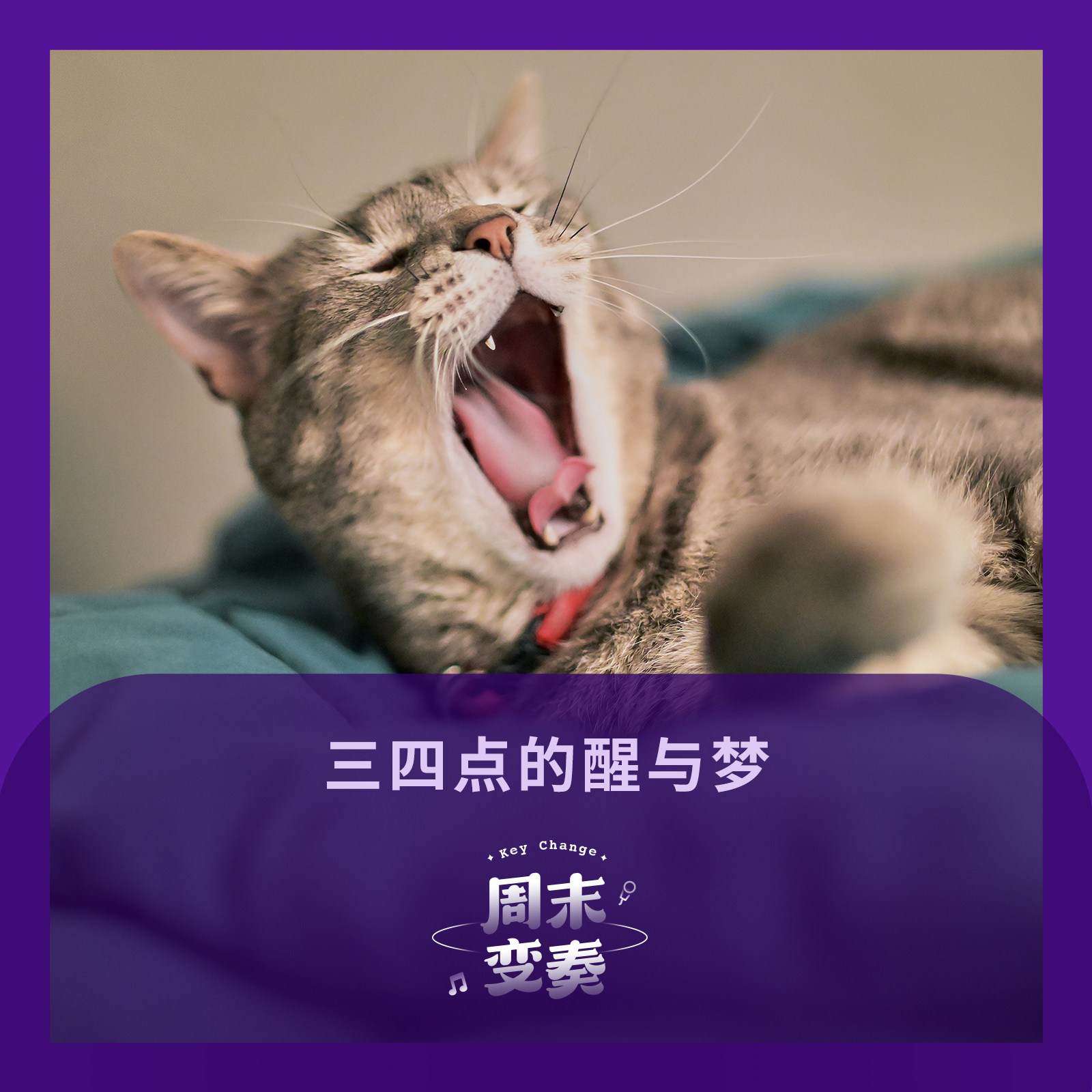 cover of episode  三四点的醒与梦丨歌不停 