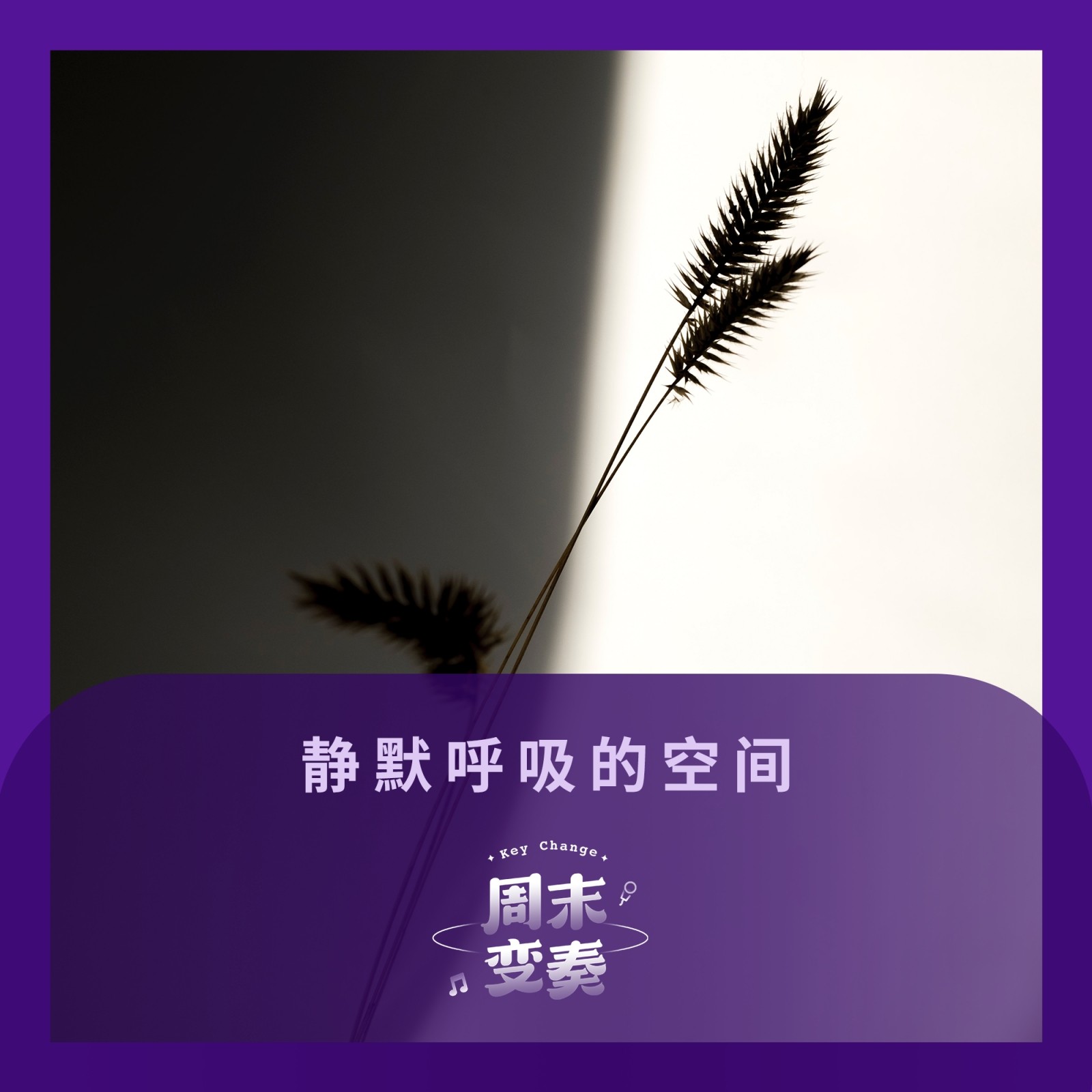 cover of episode  静默呼吸的空间丨歌不停 