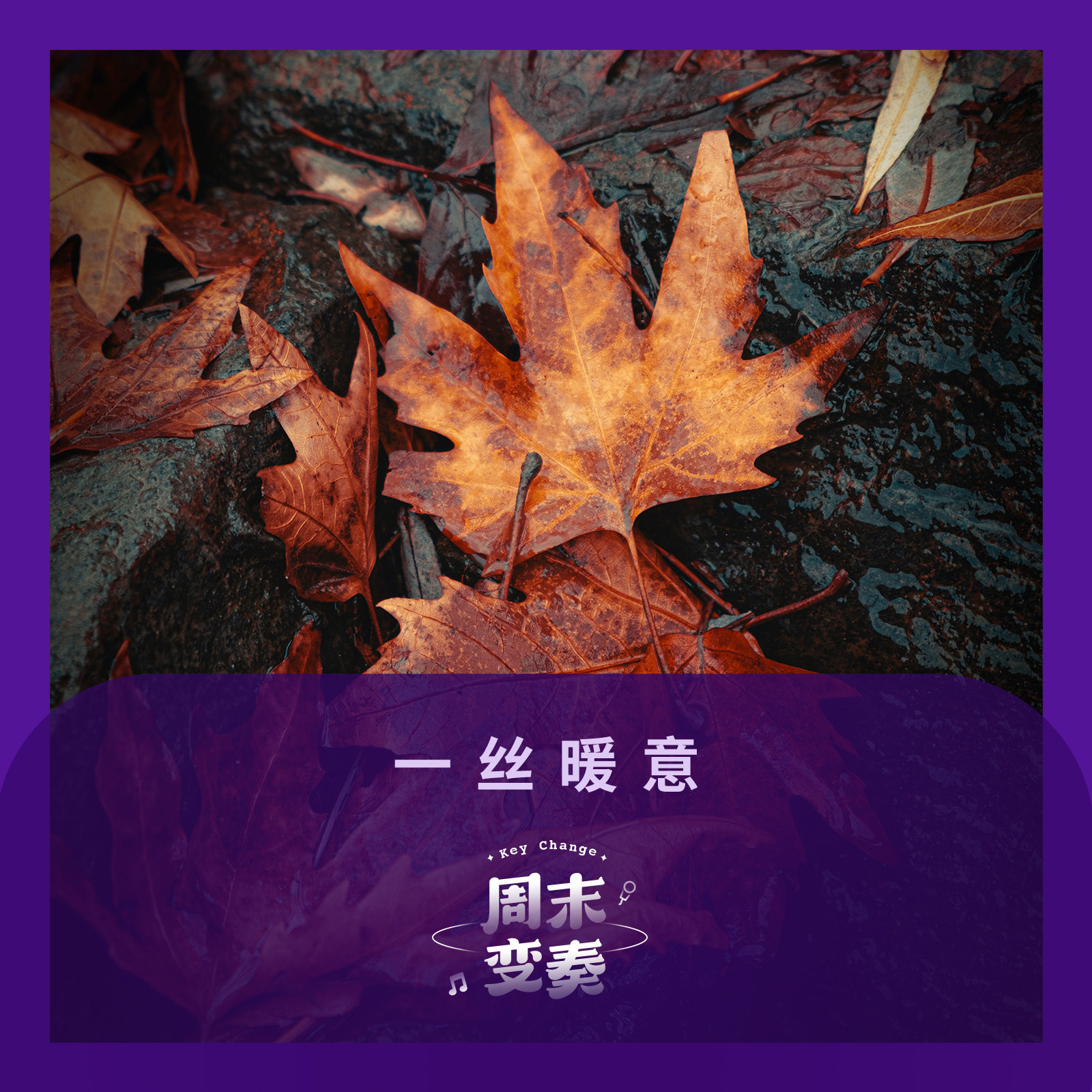 cover of episode  一丝暖意丨歌不停 