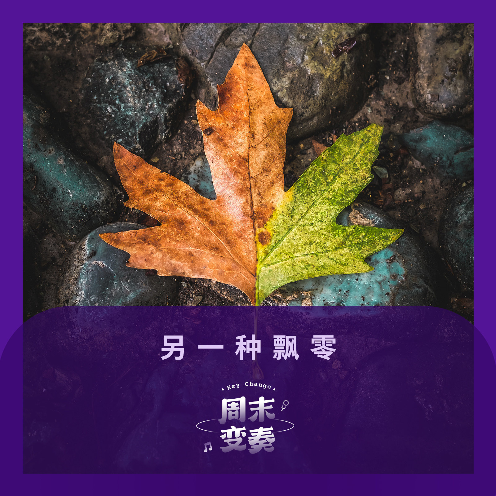 cover of episode  另一种飘零丨歌不停 