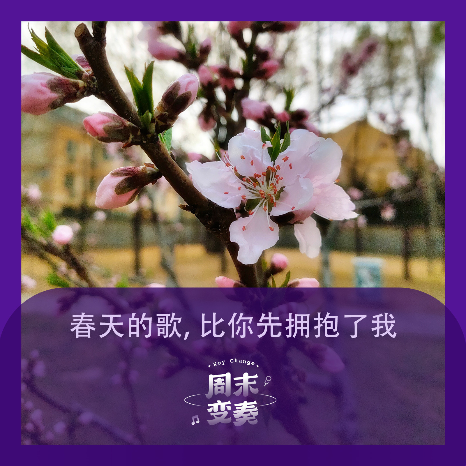 cover of episode  【串台啦】春天的歌，比你先拥抱了我 