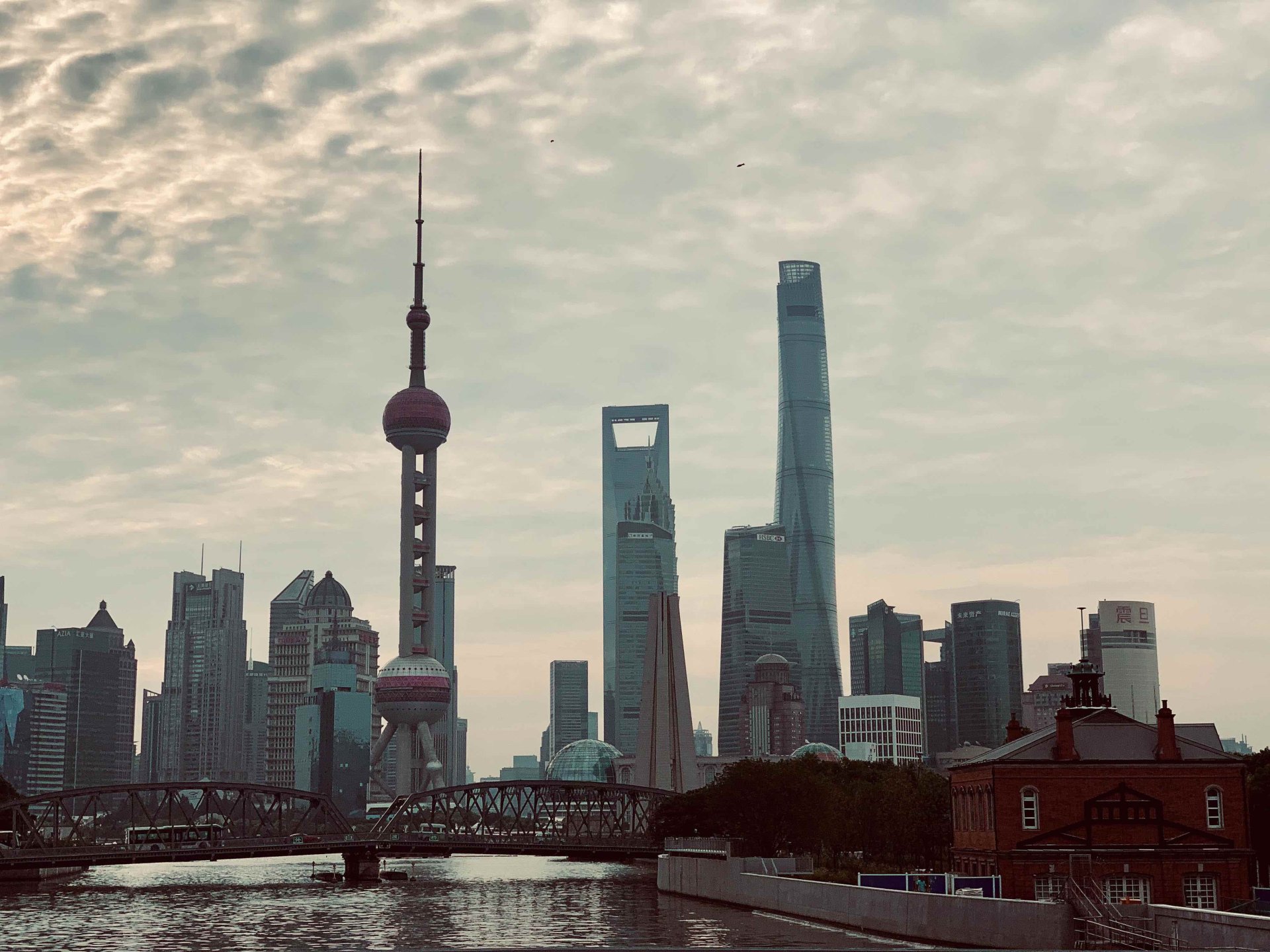 Shanghai | The Morning Vibe - Special Issue 001